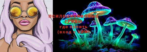 амф Надым