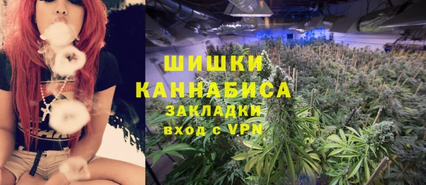 прущие грибы Усолье-Сибирское