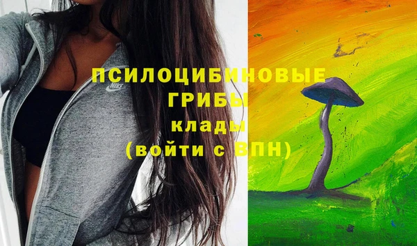 гидра Навашино