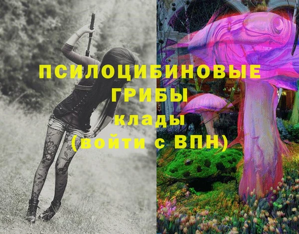 дмт Яранск