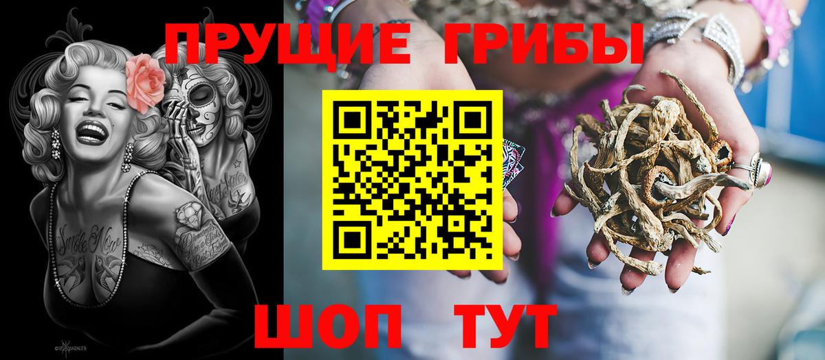 Псилоцибиновые грибы Cubensis  Белорецк  Псилоцибиновые грибы прущие грибы 