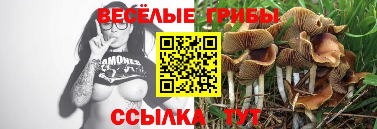 Галлюциногенные грибы Cubensis Белорецк